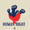 Human Rights and Healthy Environment; Is It Happening?
